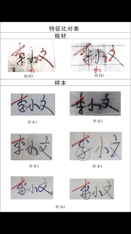 笔迹鉴定.jpeg